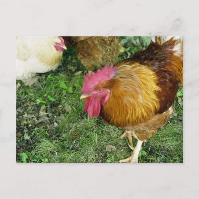 Aufzählungszeichen Postkarte (Vorderseite)