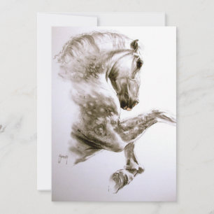 Aufzuchtpferd Einladung