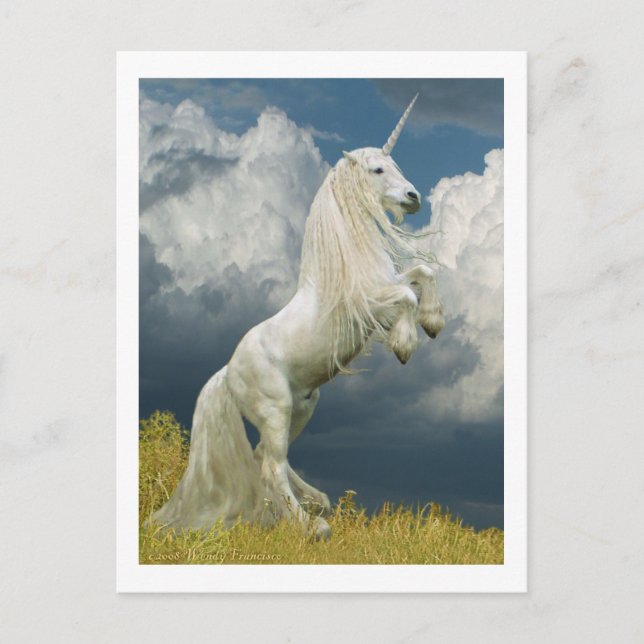 Aufzuchtunikorn Postkarte (Vorderseite)