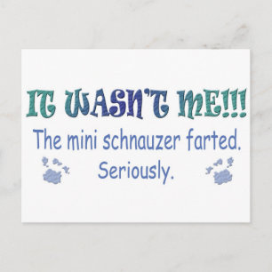 aug315fartMiniSchnauzer.jpg Postkarte