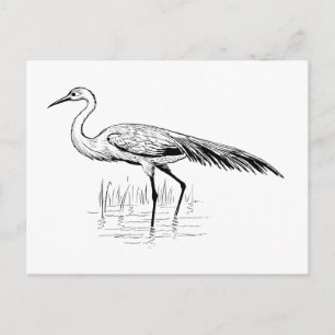 Aug Postkarte