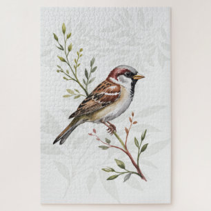 Auge auf dem Spatz Wildvogel auf Olivenzweig