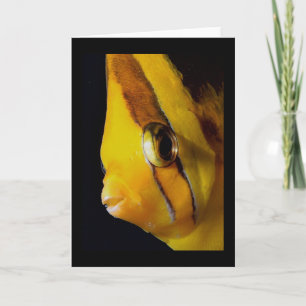 Auge bis Augen Karte