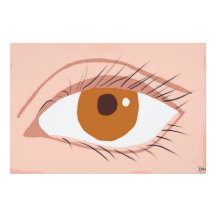 Auge C U