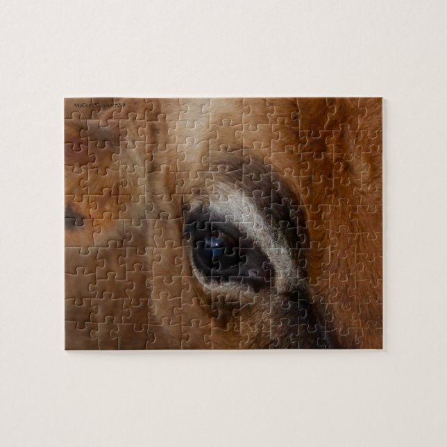 Auge der Kuh (Horizontal)