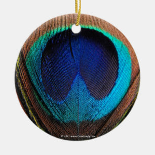 Auge der Pfau-Feder-Nahaufnahme Keramik Ornament