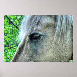 Auge der weißen Ranch Mare Foto 2 Poster