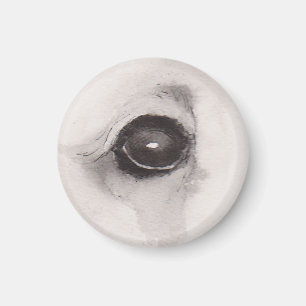 Auge des Bären – Gaze Collection Magnet