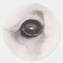 Auge des Bären – Gaze-Kollektion