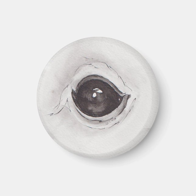 Auge des Eichhörnchen – Gaze Collection Magnet (Vorne)