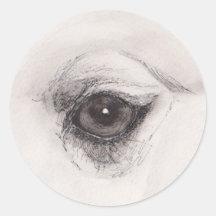 Auge des Kamels – Gaze-Kollektion