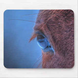 Auge des Kastanienroses PferdeEquine Foto Mousepad