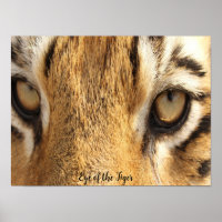 Auge des Tiger Poster Big Cat