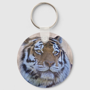 Auge des Tiger-Schlüsselrings Schlüsselanhänger