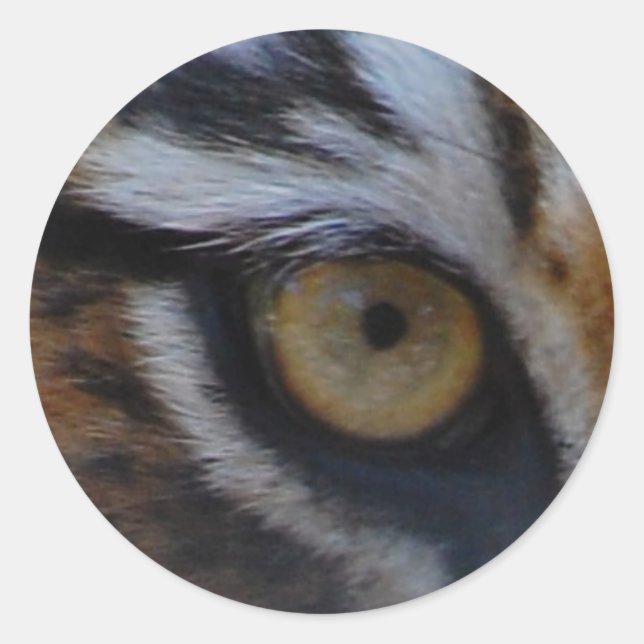 Auge des Tigers Runder Aufkleber (Vorderseite)