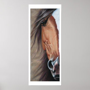 Auge - drucken poster