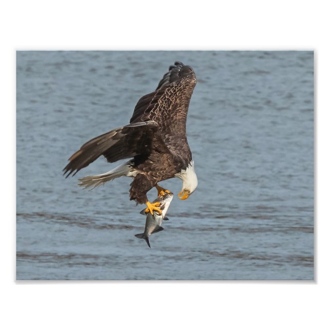 Auge Fotodruck (Vorne)