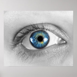 Auge Poster