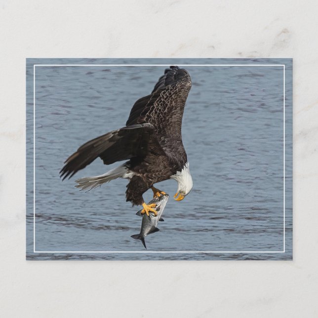 Auge Postkarte (Vorderseite)