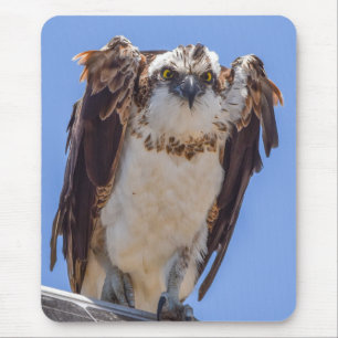 Augen des Fischadlers Mousepad