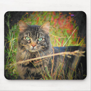 Augen des Jägers Mousepad