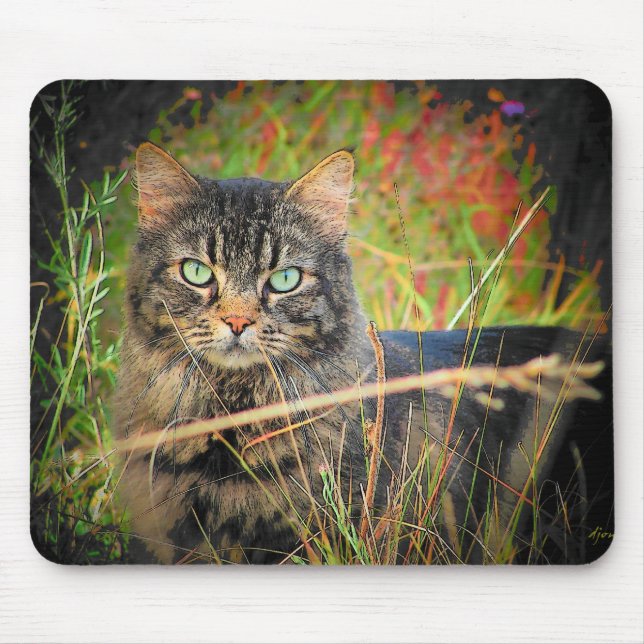 Augen des Jägers Mousepad (Vorne)