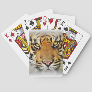Augen des Tigers, Liebe_ Spielkarten