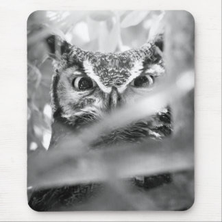 Augen des Waldes (Großer Hornkauz) Mousepad