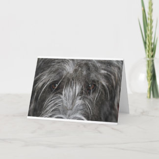 Augen, die hypnotisieren karte