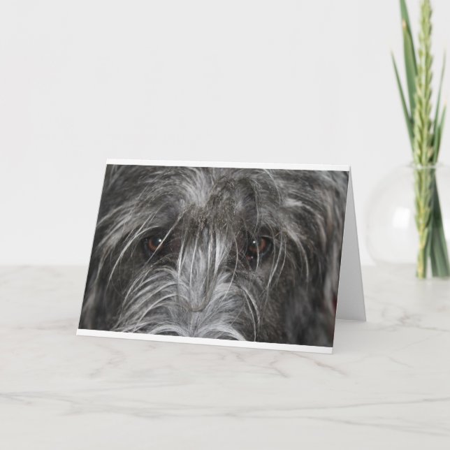 Augen, die hypnotisieren karte (Vorderseite)