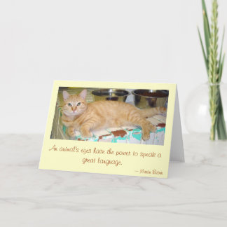 Augen eines Tieres Karte