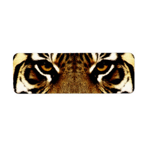 Augen eines Tigers