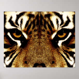 Augen eines Tigers Poster