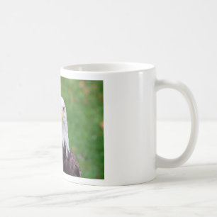 Augen eines Weißkopfseeadlers Kaffeetasse