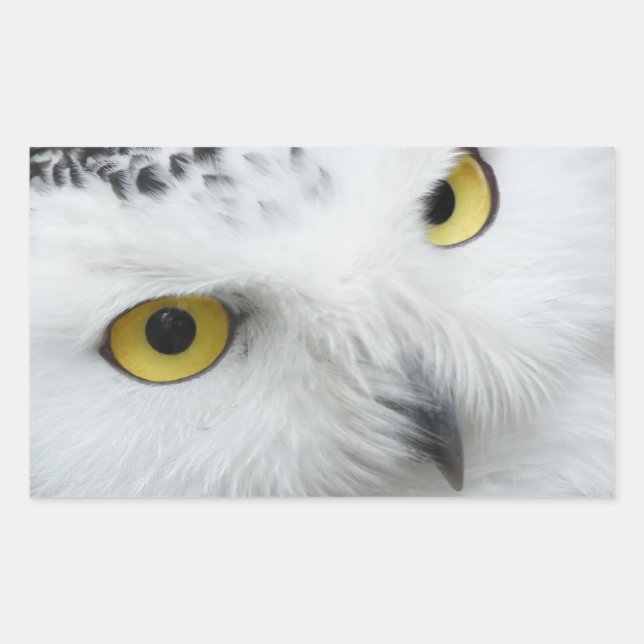 Augen Rechteckiger Aufkleber (Vorderseite)