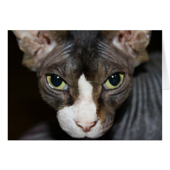 Augen sehen Sie an! (Vorderseite (Horizontal))