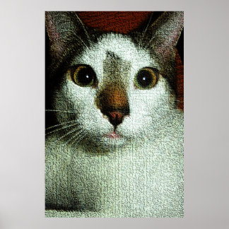 Augen von Bud Poster