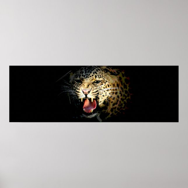 Augen von Leopard in Schattentürposter drucken Poster (Vorne)