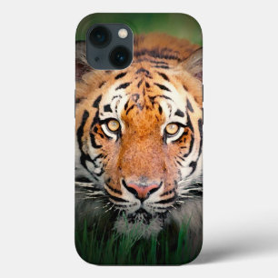 Augen von Tiger Case-Mate iPhone Hülle