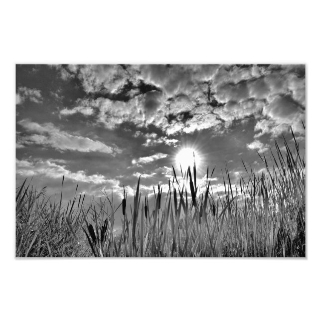 Augenblick der Ente Fotodruck (Vorne)