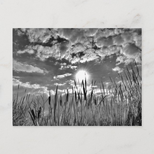 Augenblick der Ente Postkarte (Vorderseite)