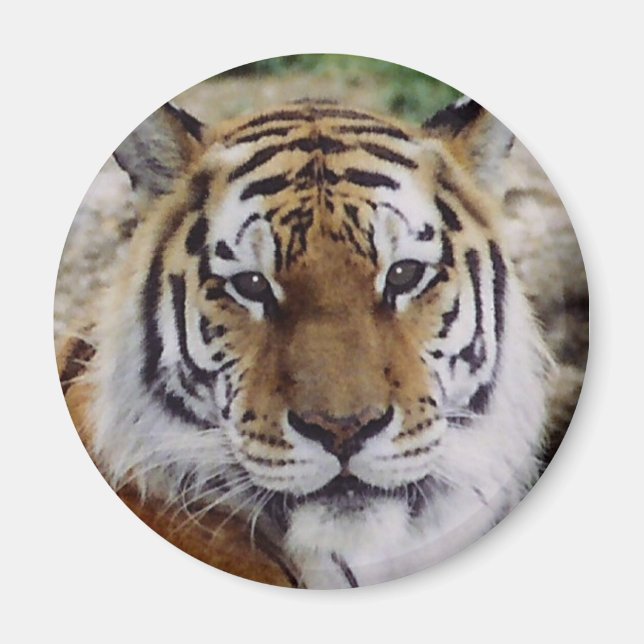 Augenblick Magnet (Vorne)