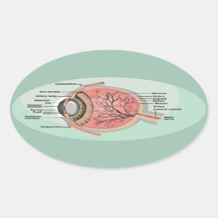 Augendiagramm für den nationalen Augenarztmonat Ovaler Aufkleber