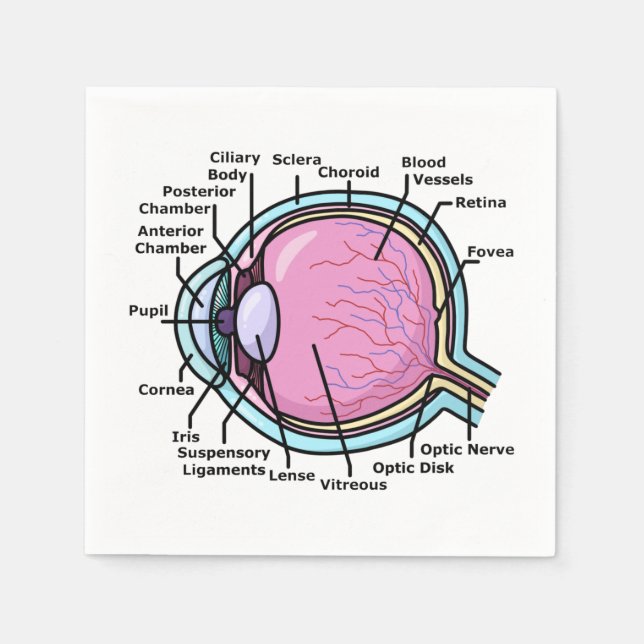 Augendiagramm Serviette (Vorderseite)