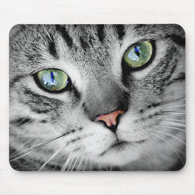 Augenkatze Mousepad (Vorne)
