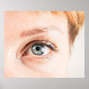 Augennähe Poster