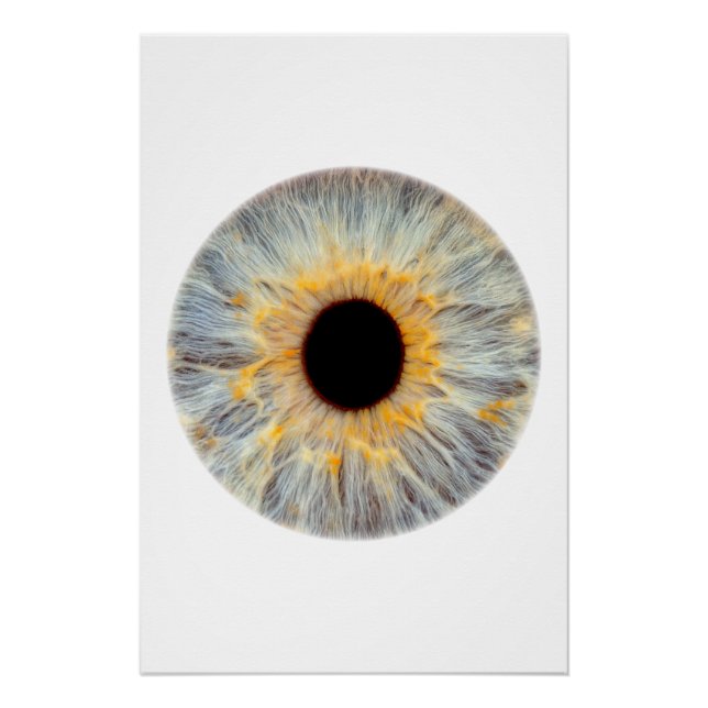 Augenposter Poster (Vorderseite)