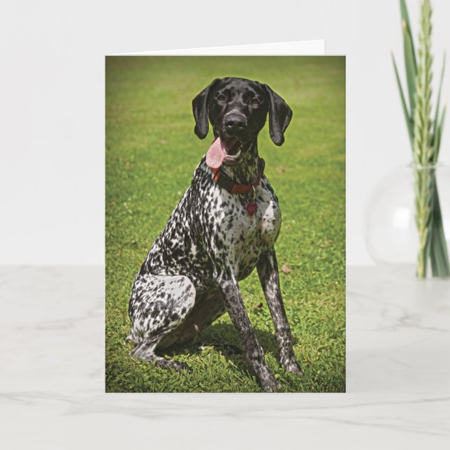 Augie danke Karte (Vorderseite)