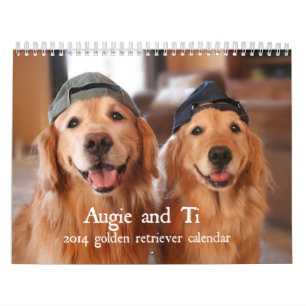 Augie und Ti-golden retriever-Kalender 2014 Kalender