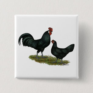 Augsburger Chickens Button